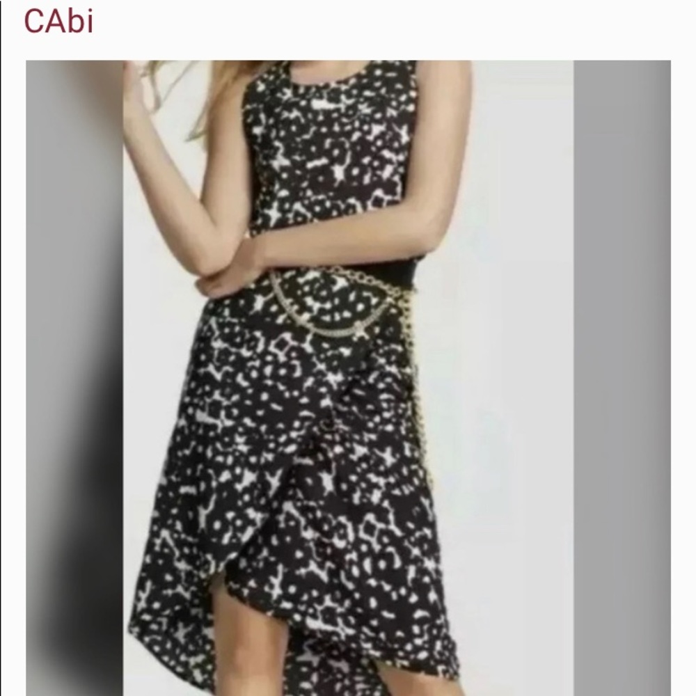 CAbi Dixon Skirt NWT